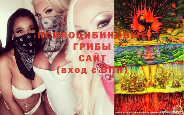 трава Алексеевка